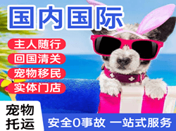 东郊机场托运国际宠物托运 【国